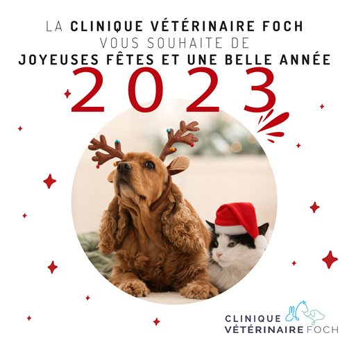 Joyeux Noel